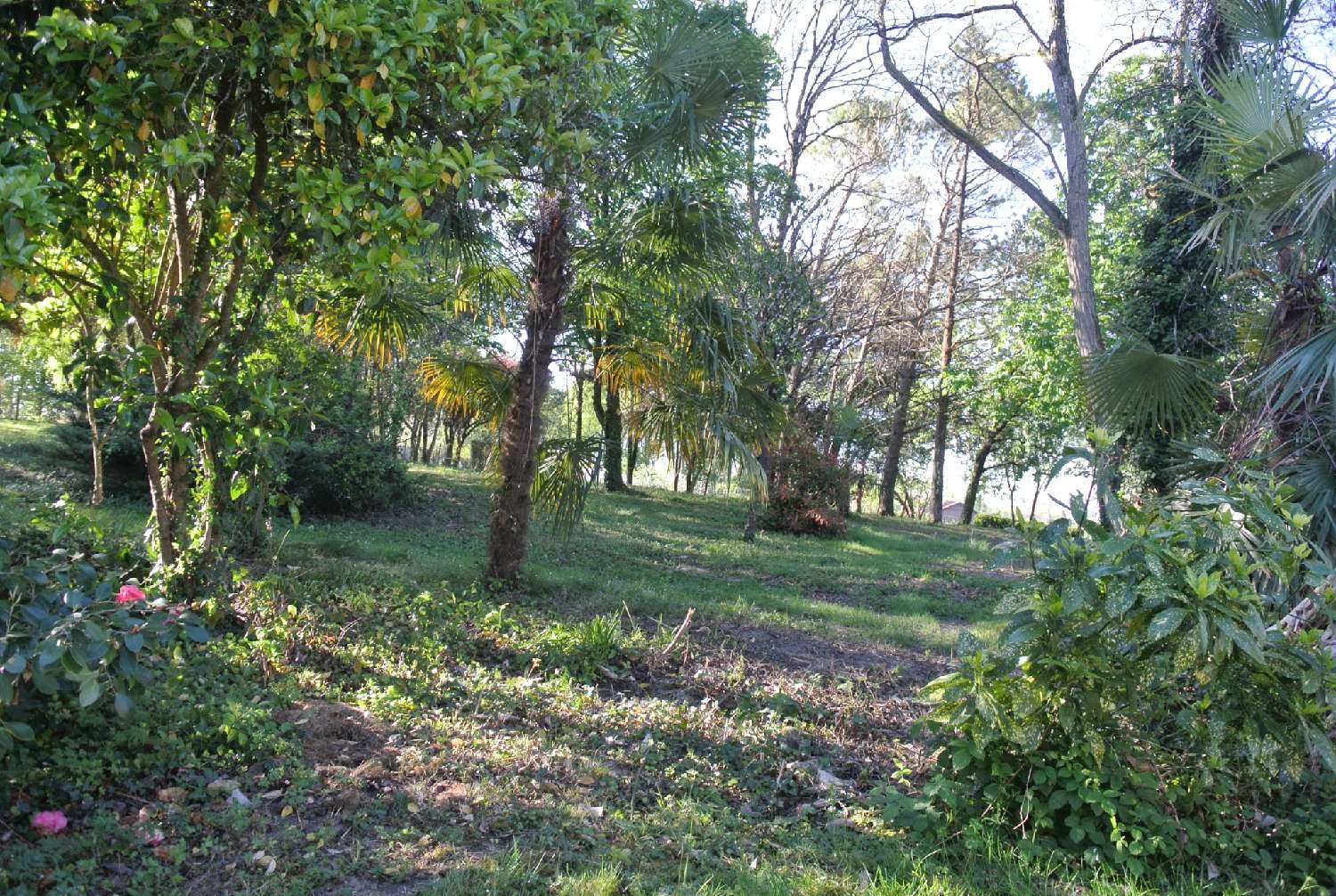  for sale house Virazeil Lot-et-Garonne 5