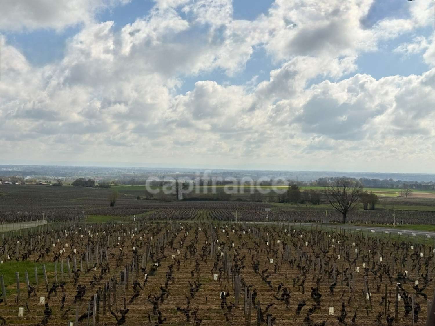 à vendre maison Viré Saône-et-Loire 2