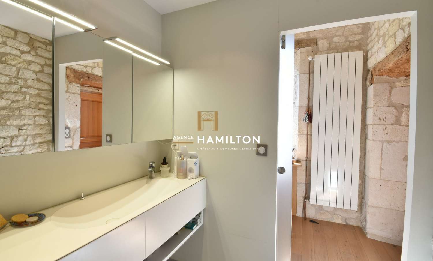  kaufen Bürgerhaus Albi Tarn 8