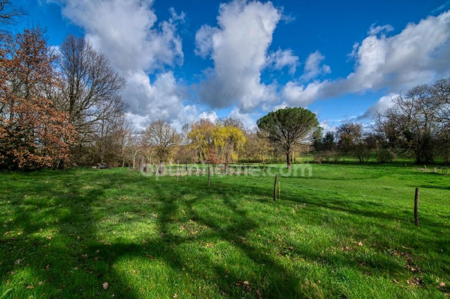  te koop herenhuis Castres Tarn 5