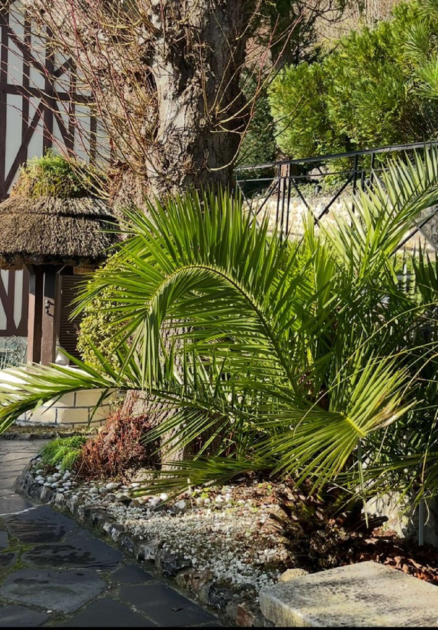  kaufen Bürgerhaus Manneville-sur-Risle Eure 4