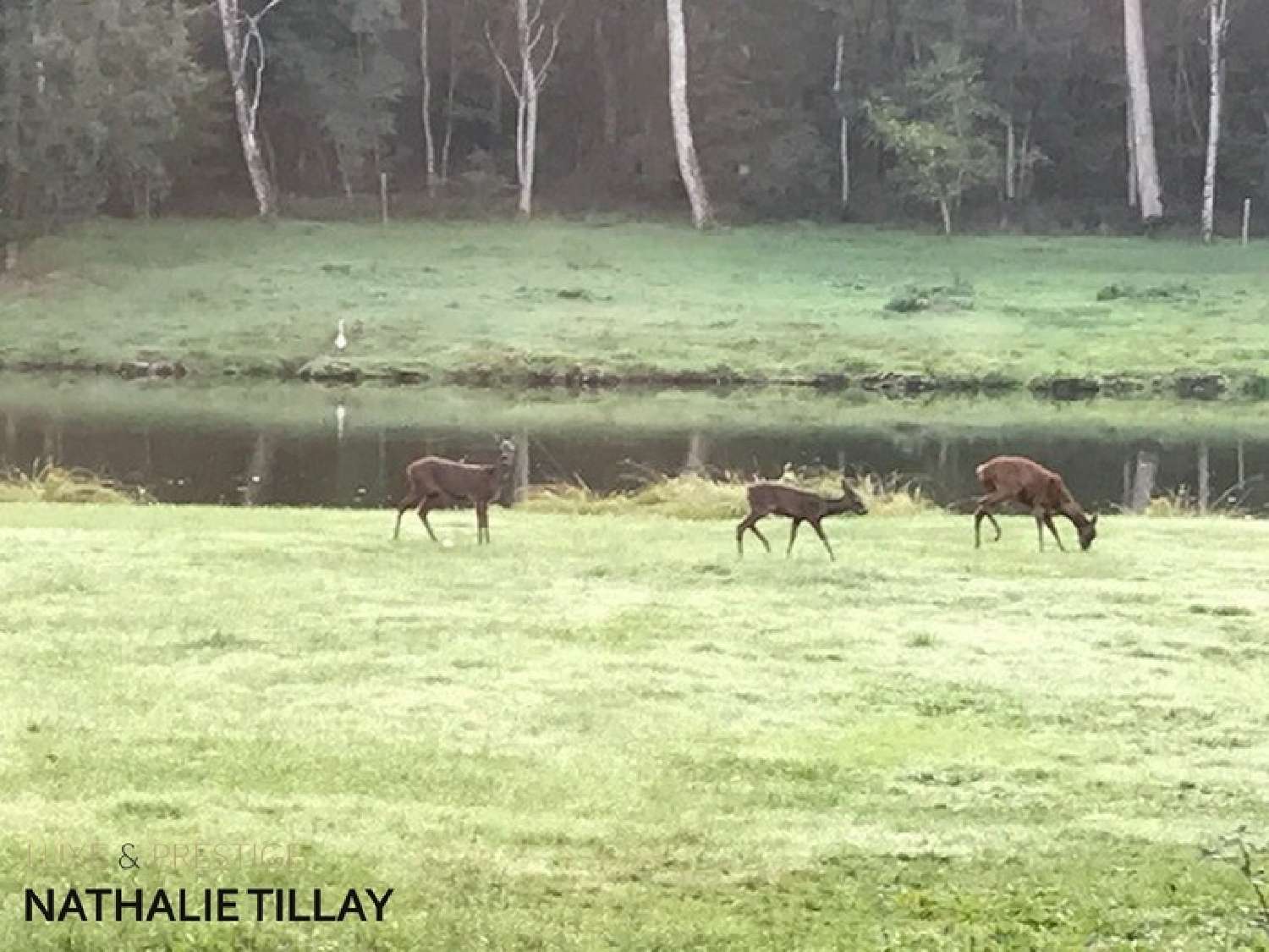 te koop herenhuis Sandillon Loiret 2