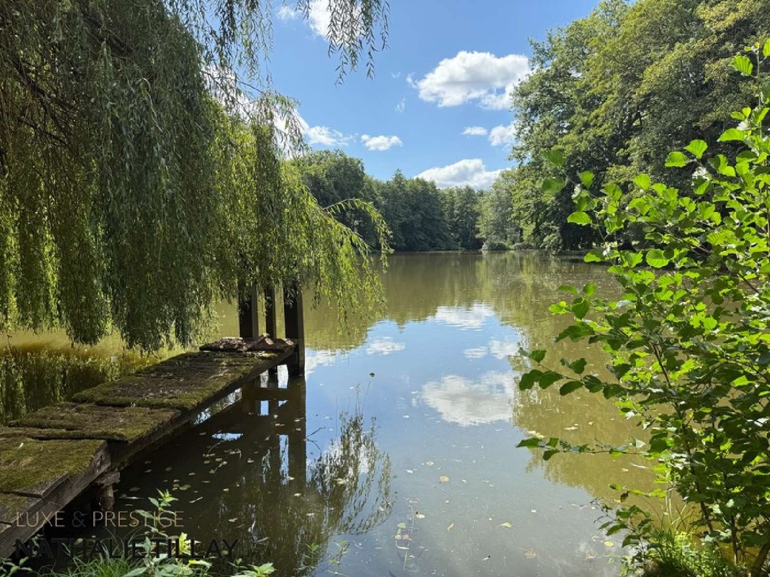 te koop herenhuis Sandillon Loiret 6