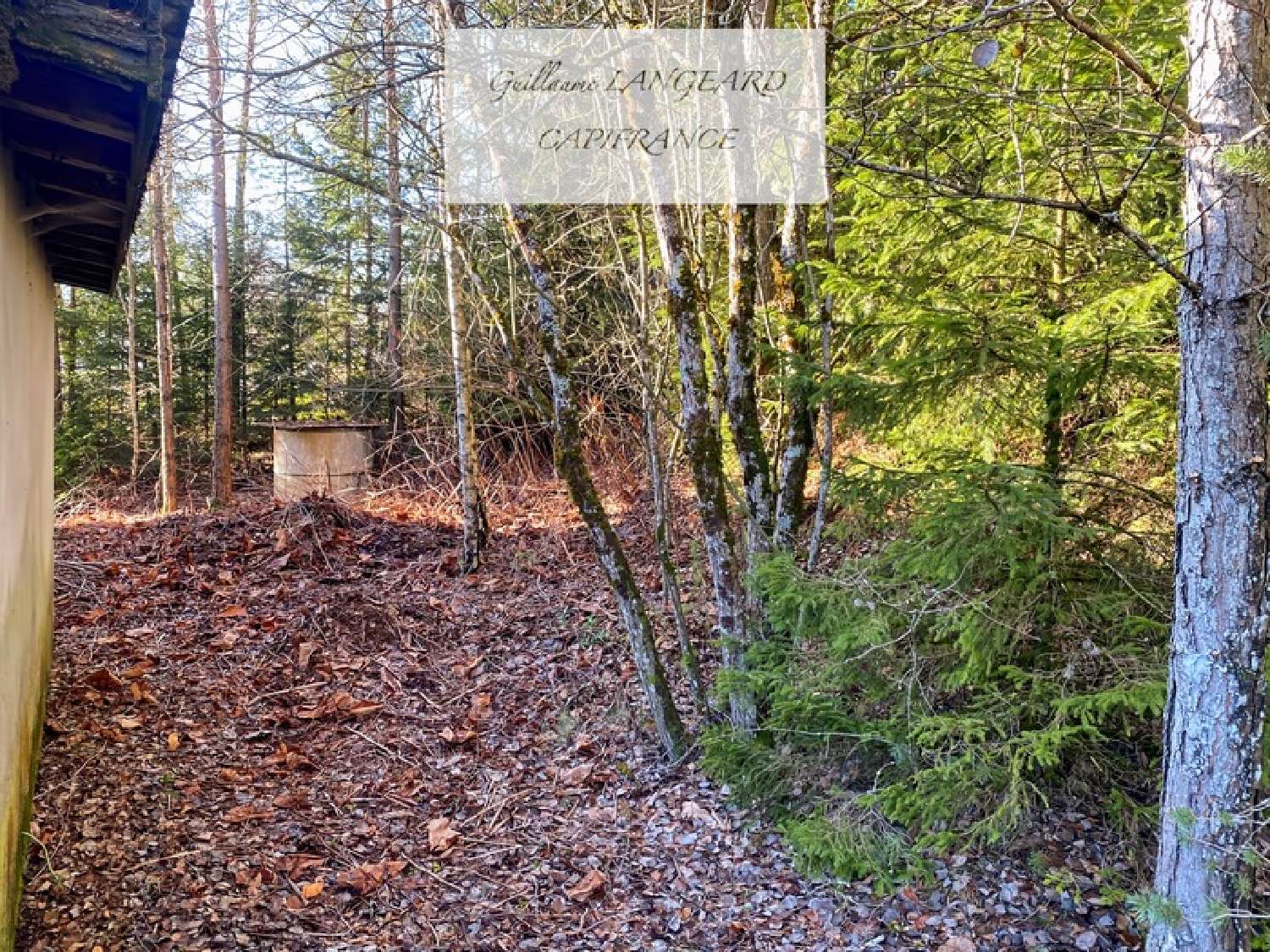  te koop kantoor Géovreisset Ain 5