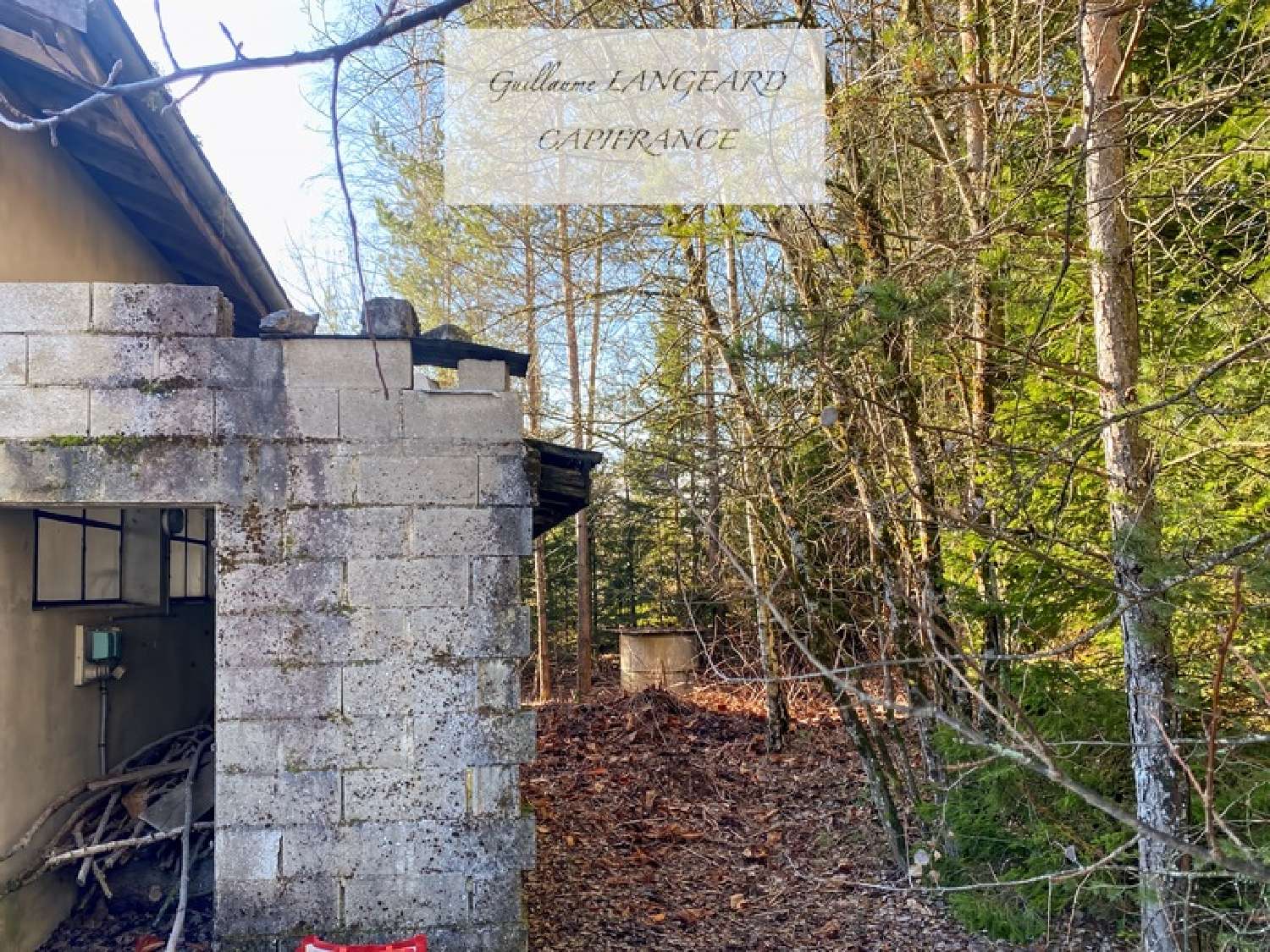  te koop kantoor Géovreisset Ain 7