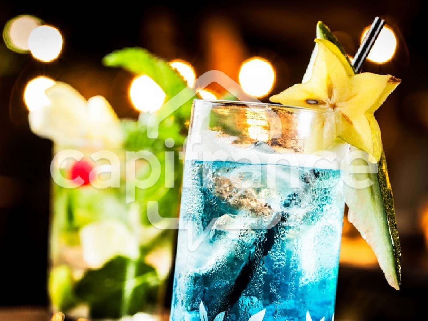 for sale restaurant Aime Savoie 7