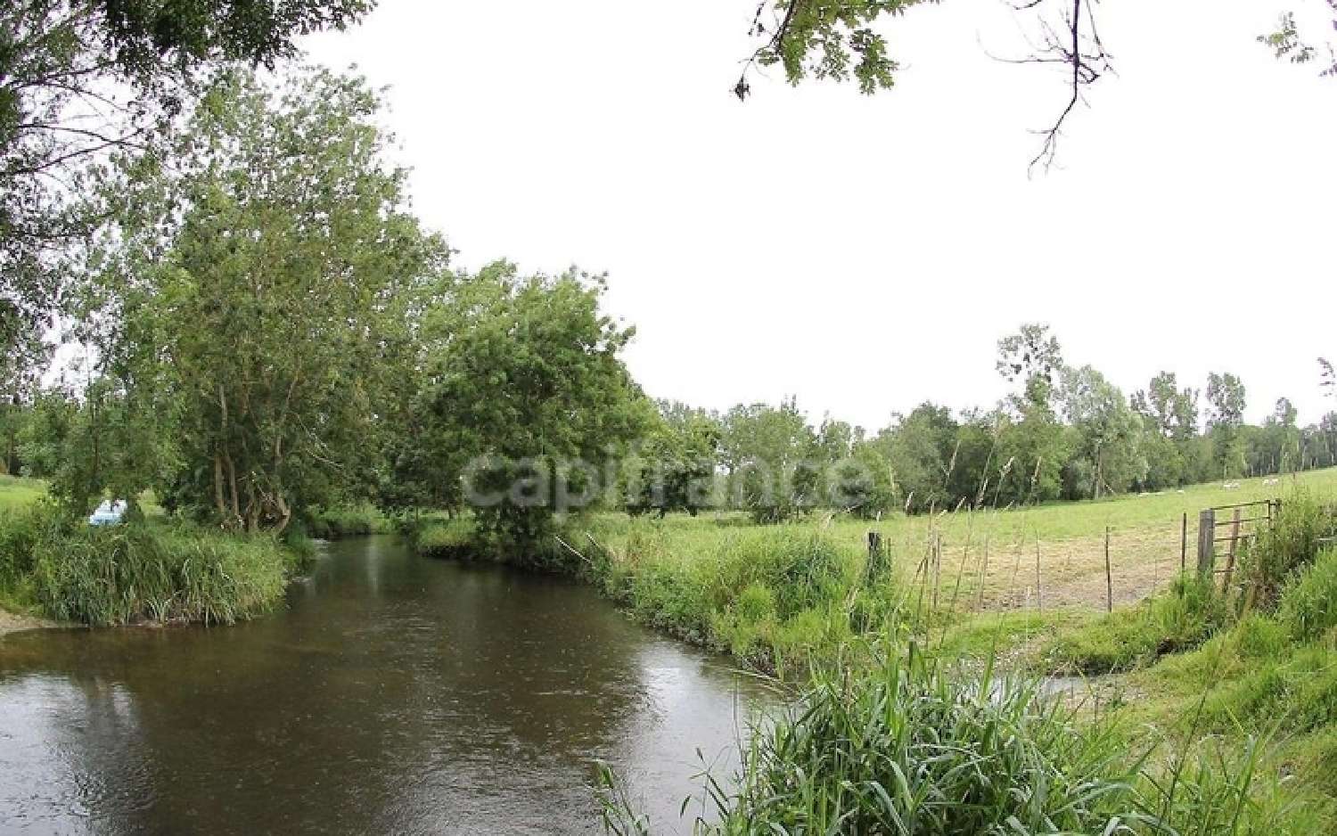  kaufen Restaurant Jonzac Charente-Maritime 2