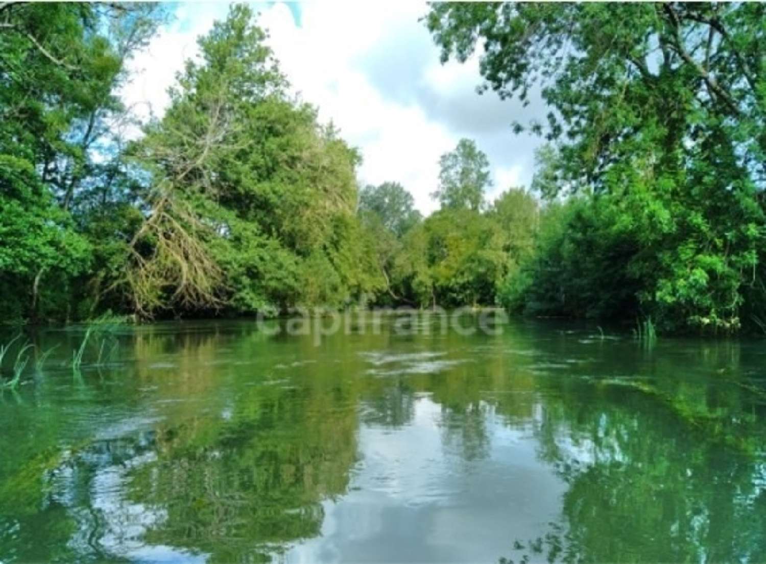  kaufen Restaurant Jonzac Charente-Maritime 3