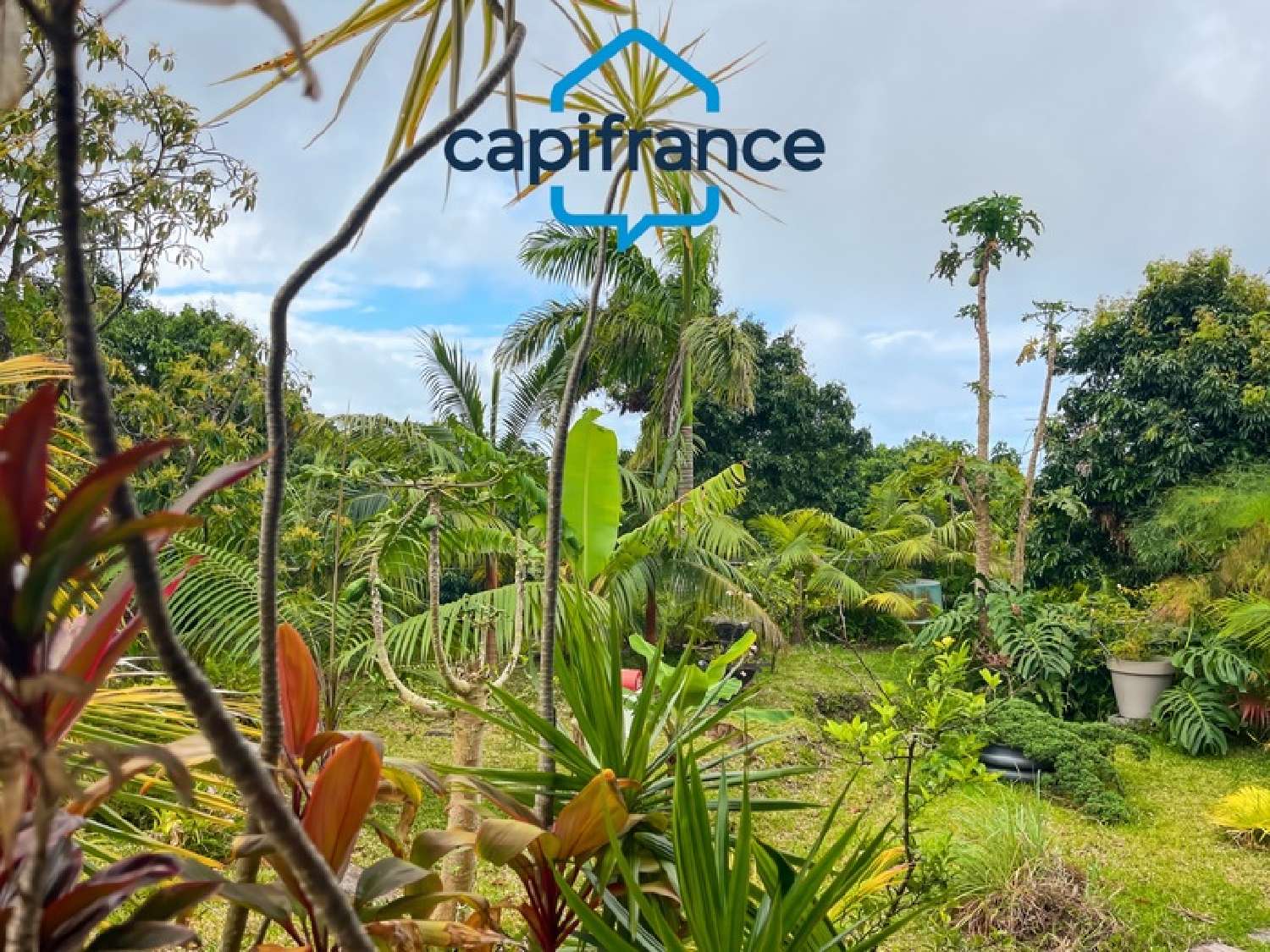 en venta restaurante Sainte-Rose La Réunion 8