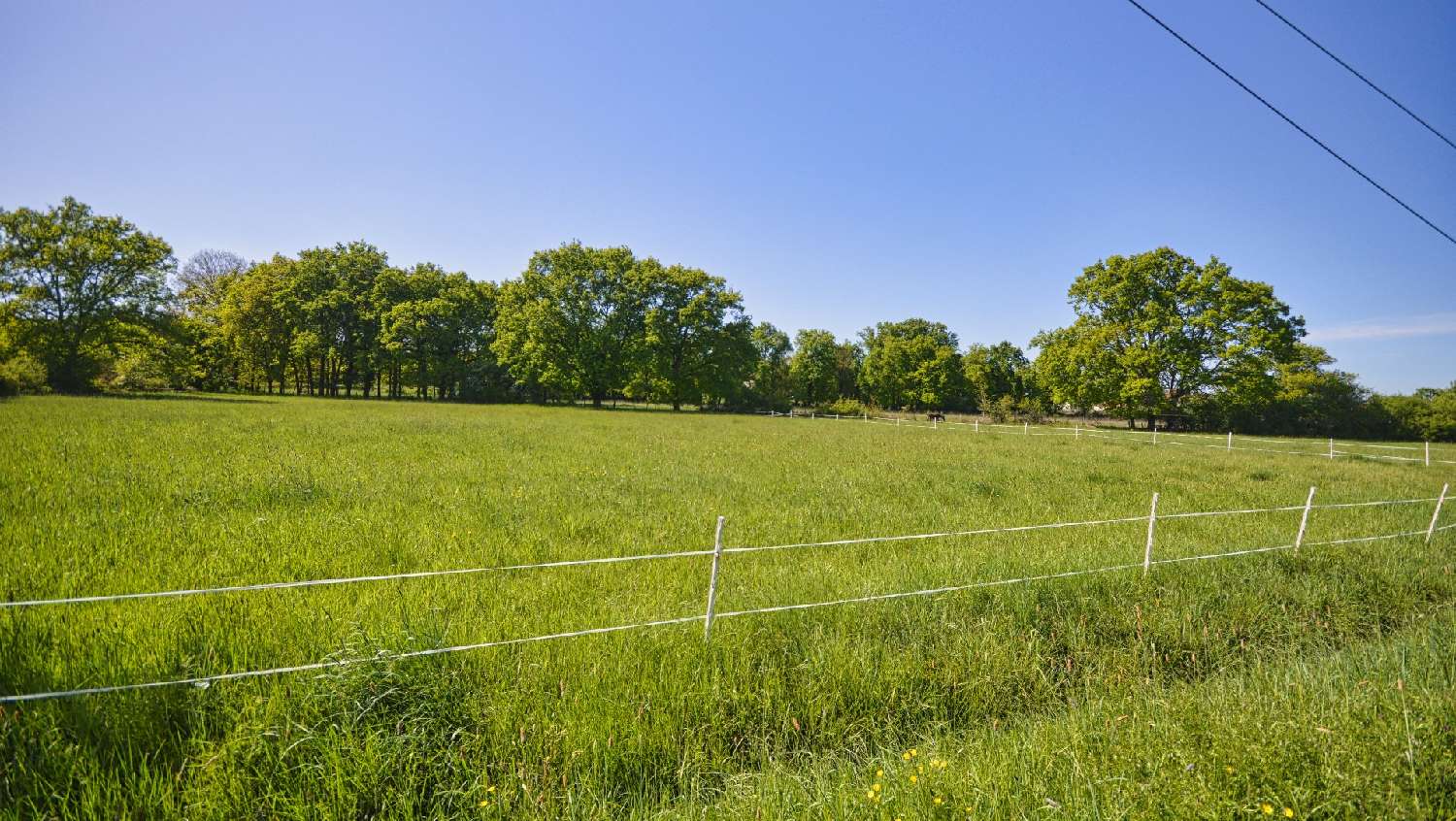  kaufen Grundstück Abrest Allier 2