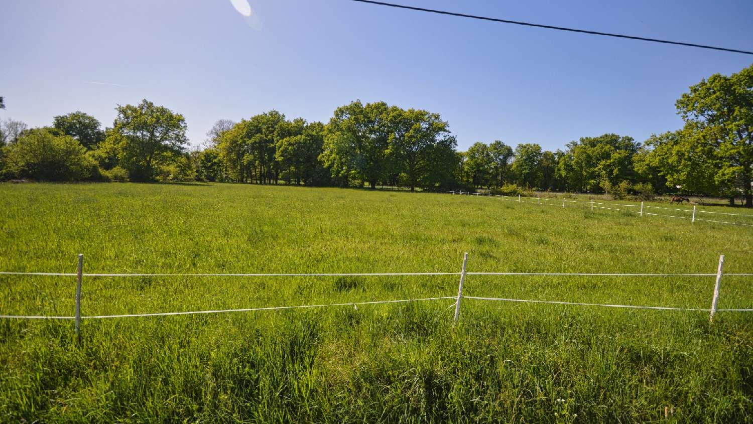  kaufen Grundstück Abrest Allier 3