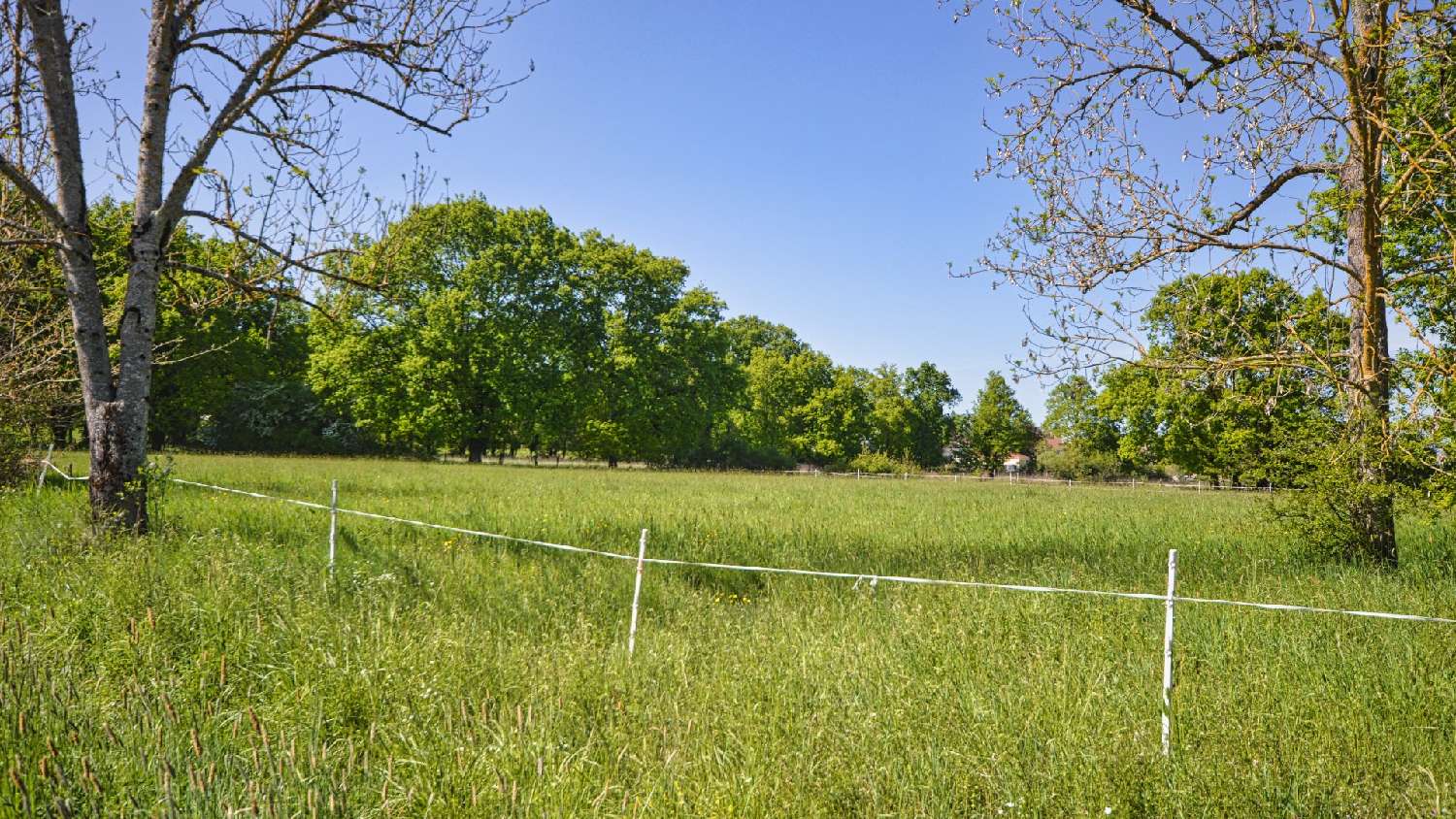  kaufen Grundstück Abrest Allier 5