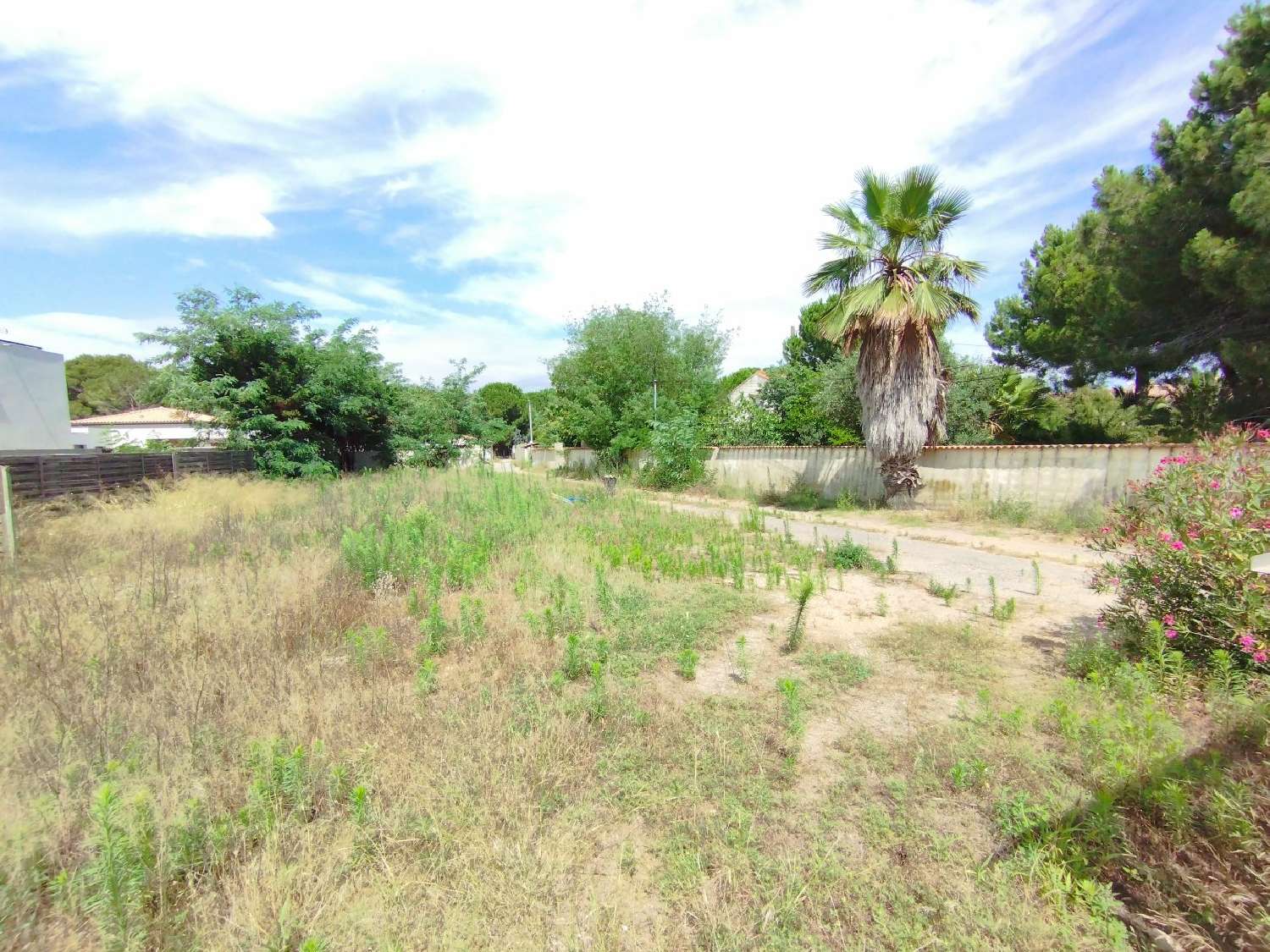  kaufen Grundstück Agde Hérault 5