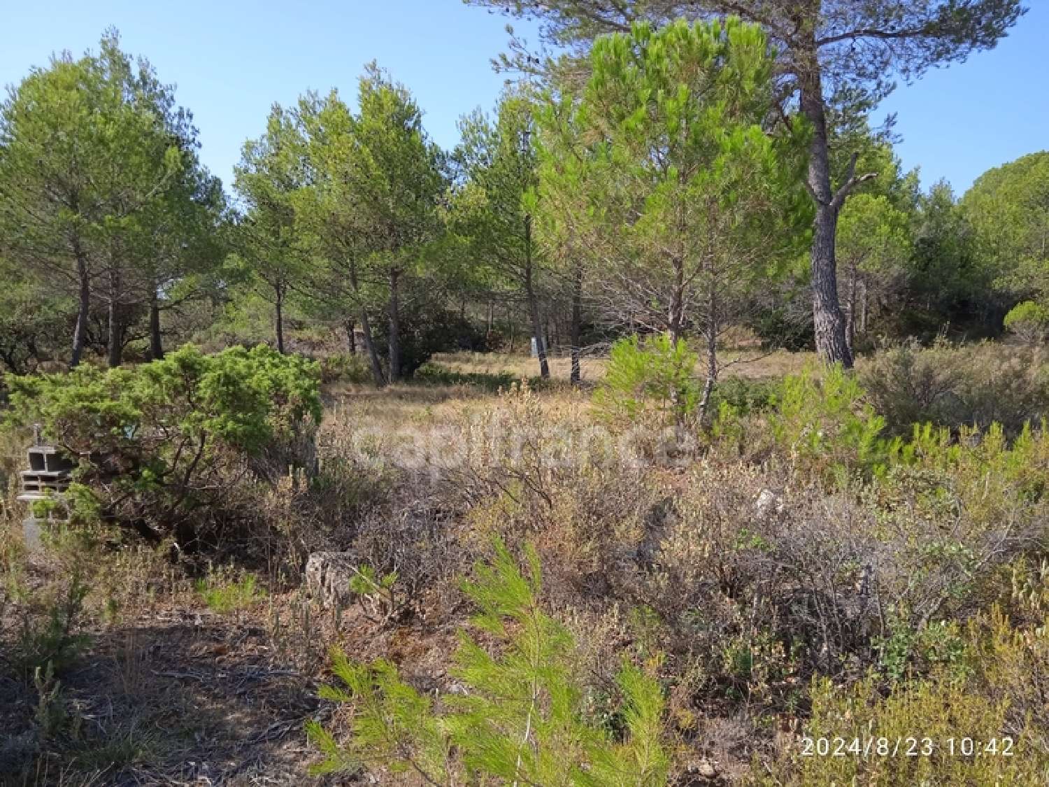  en venta terreno Aigne Hérault 2