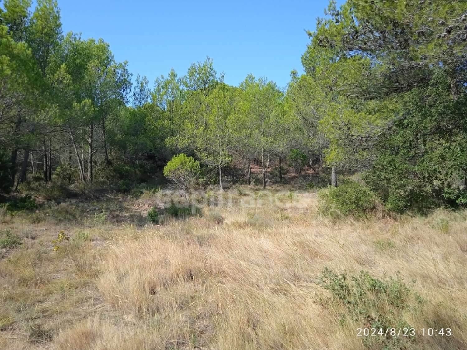  en venta terreno Aigne Hérault 4