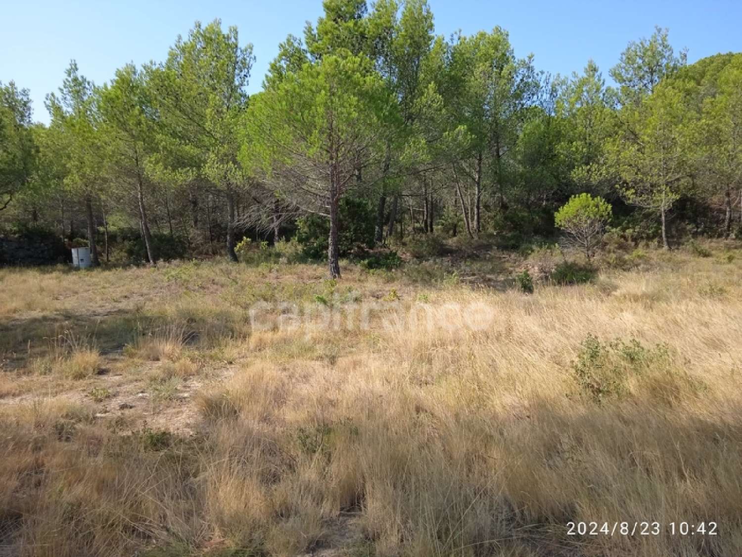  en venta terreno Aigne Hérault 5