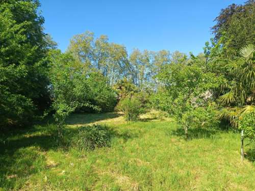 Aire-sur-l'Adour Landes terrein foto 7317158