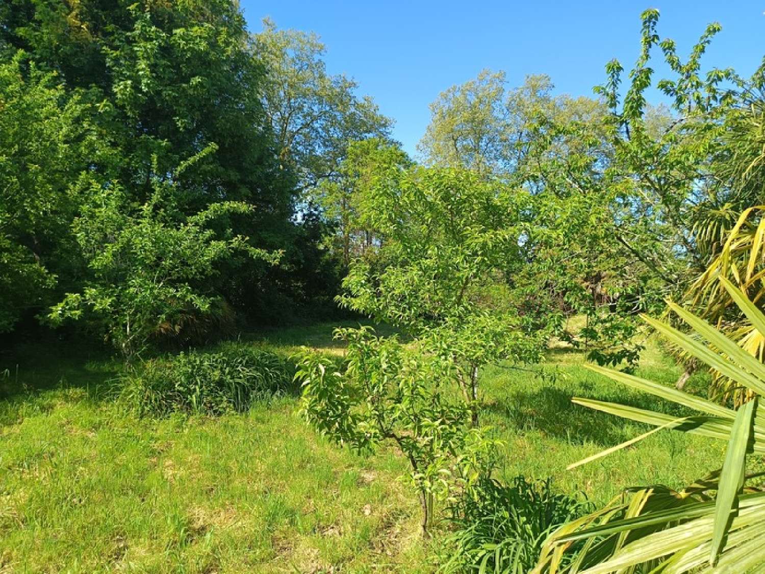  te koop terrein Aire-sur-l'Adour Landes 2