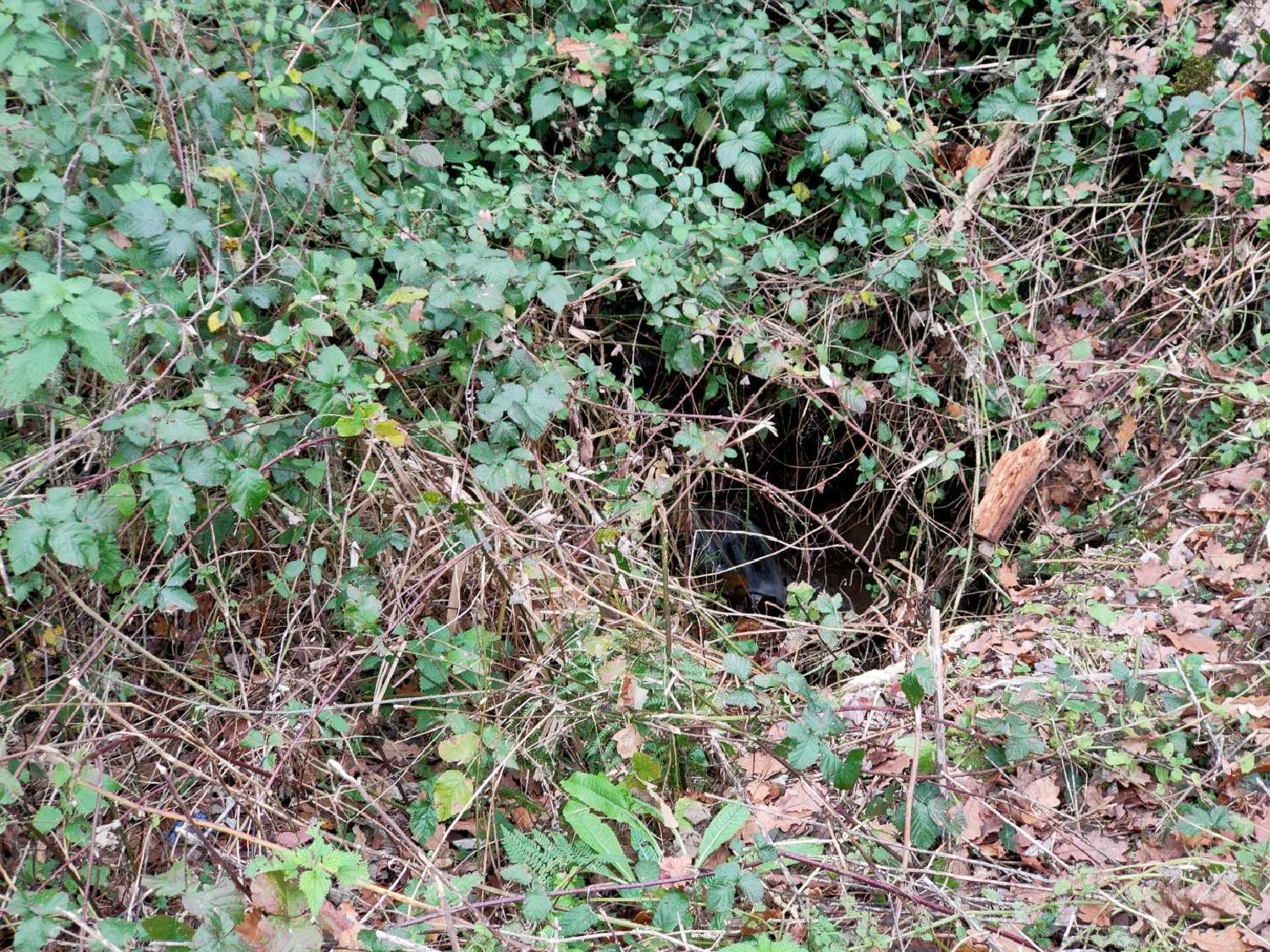  te koop terrein Altillac Corrèze 2