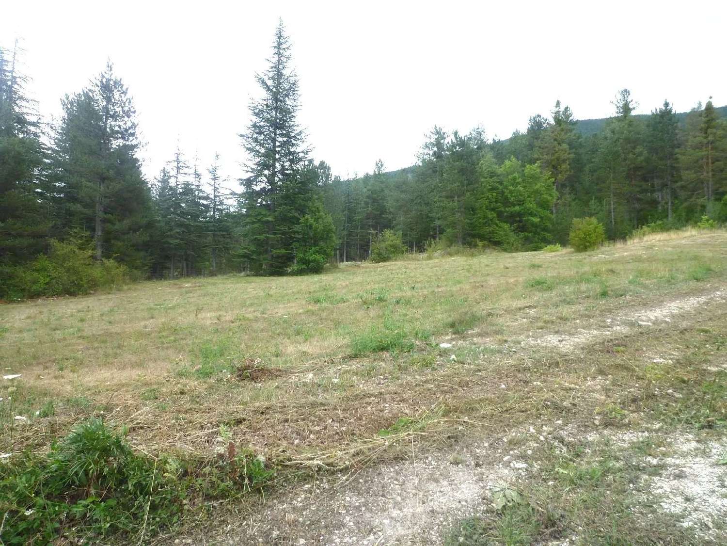  for sale terrain Annot Alpes-de-Haute-Provence 1