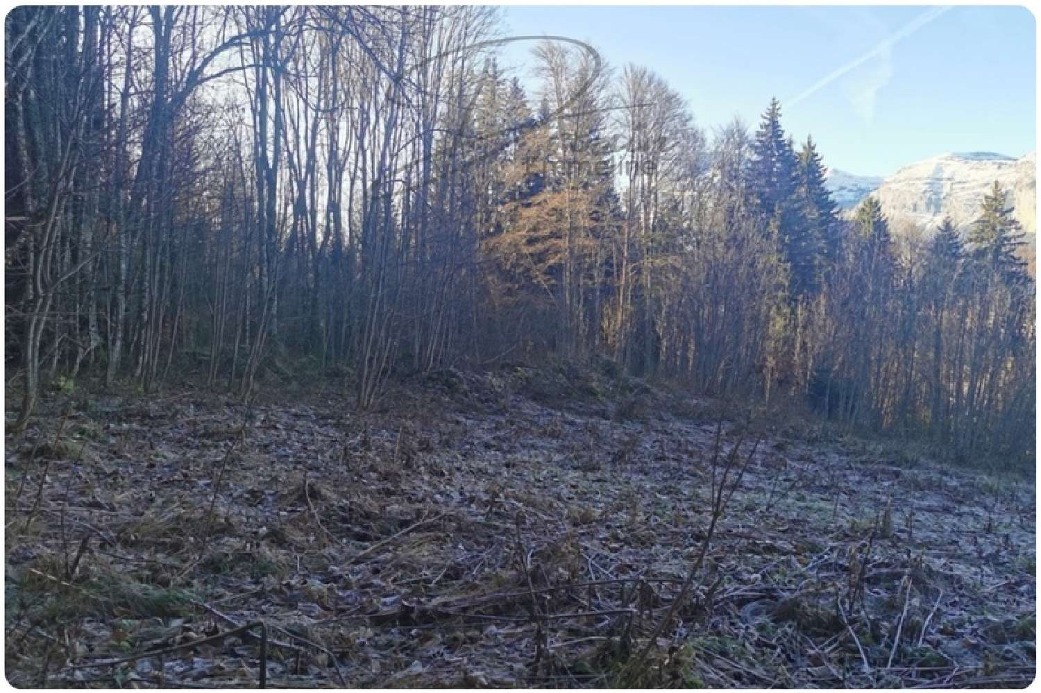  kaufen Grundstück Arâches Haute-Savoie 7