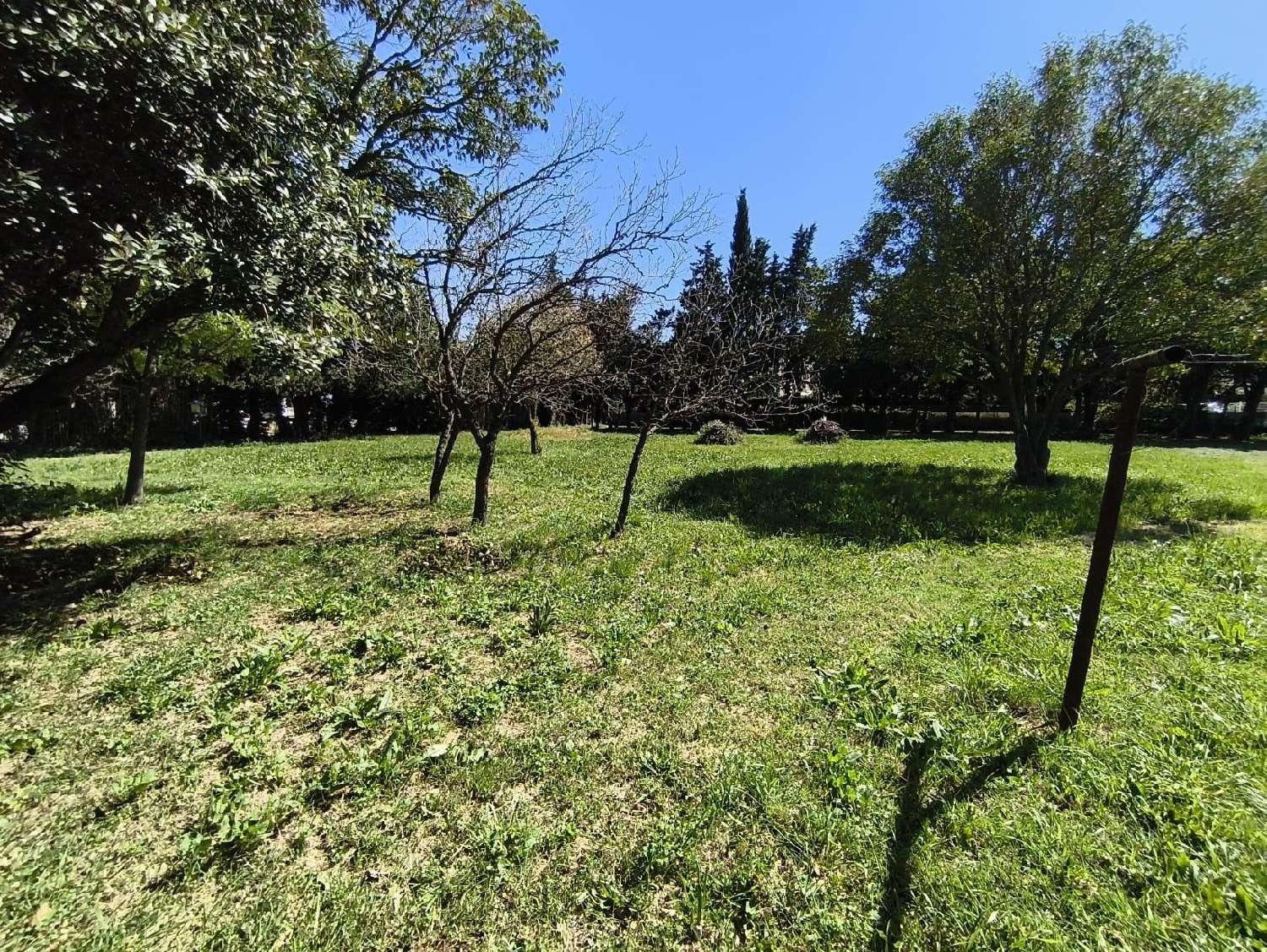  kaufen Grundstück Arles Bouches-du-Rhône 2