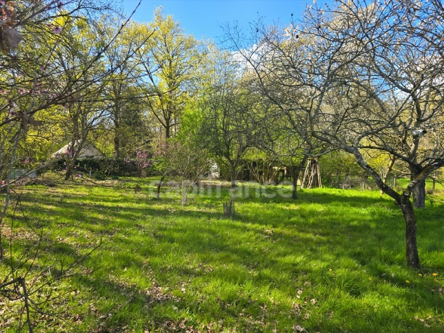 te koop terrein Aubigné-Racan Sarthe 3