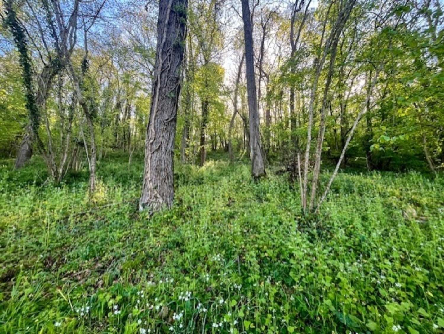  te koop terrein Availles-Thouarsais Deux-Sèvres 2