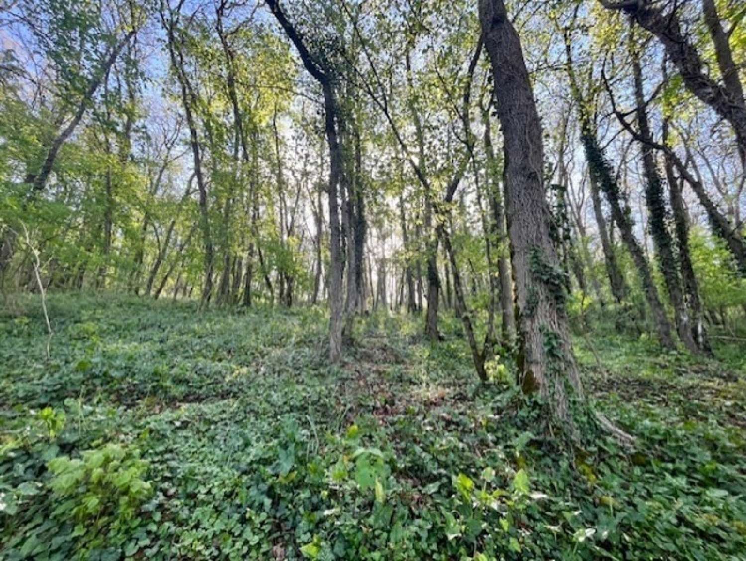  te koop terrein Availles-Thouarsais Deux-Sèvres 4