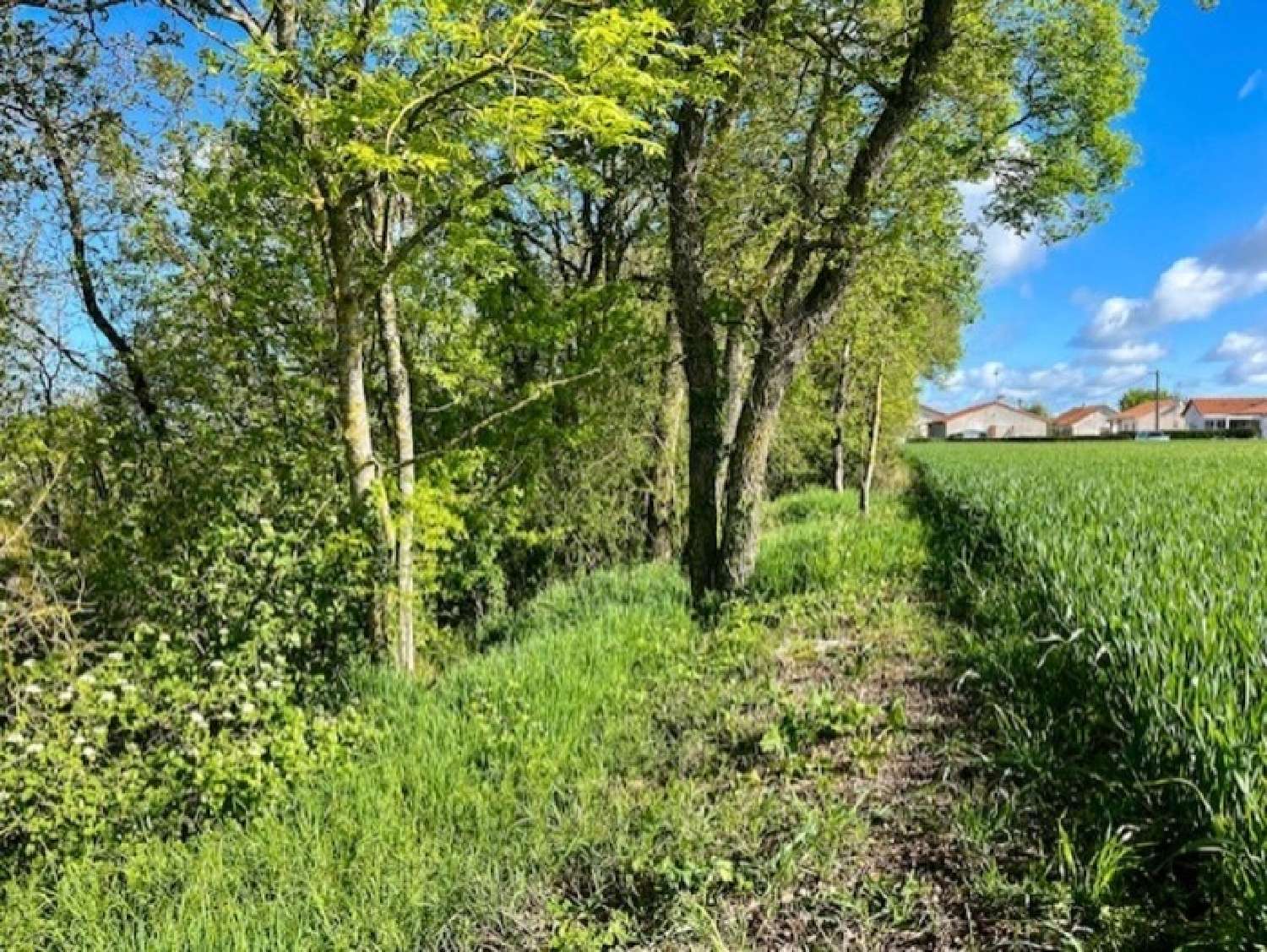  te koop terrein Availles-Thouarsais Deux-Sèvres 5