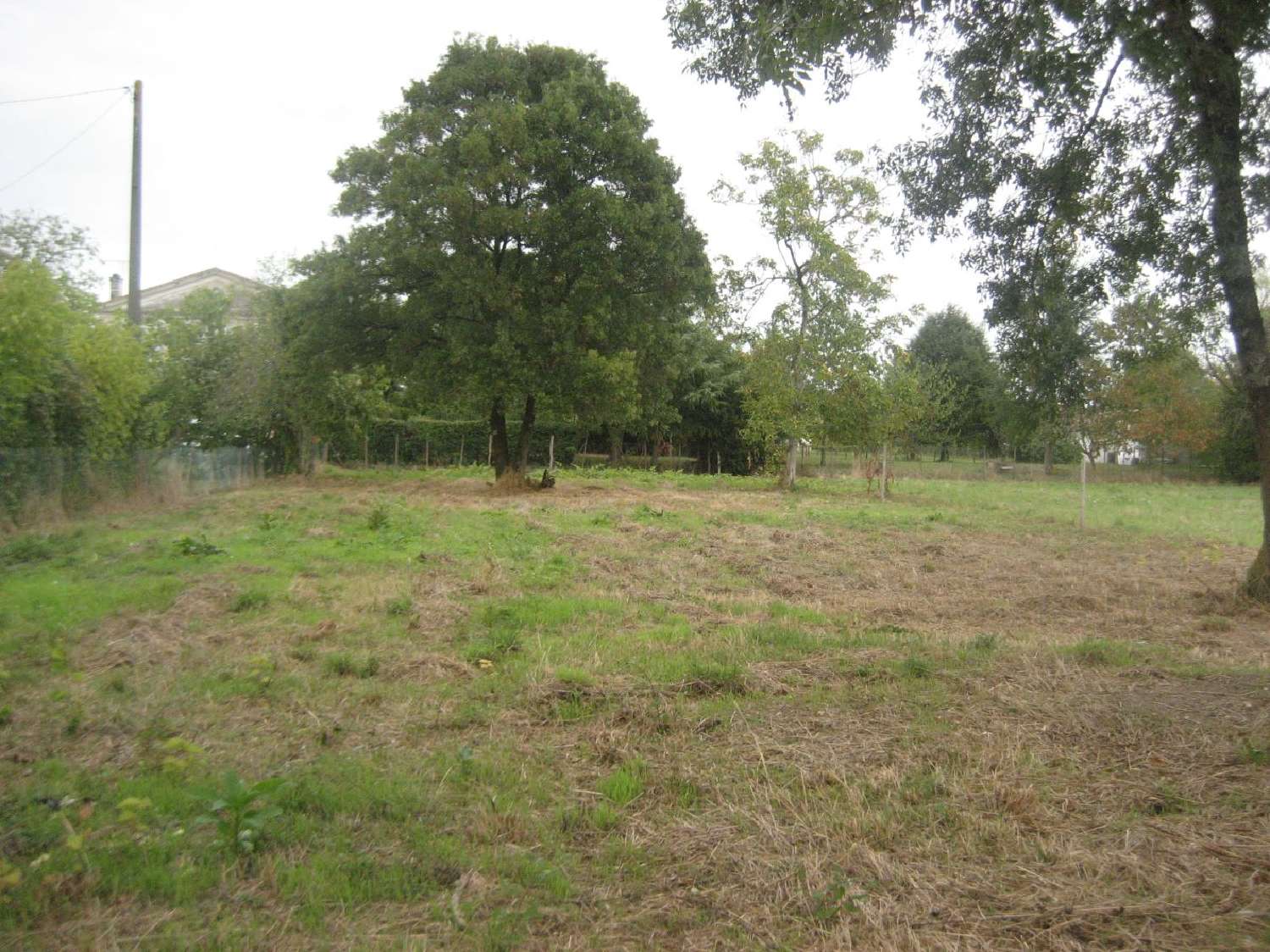  for sale terrain Béguey Gironde 2