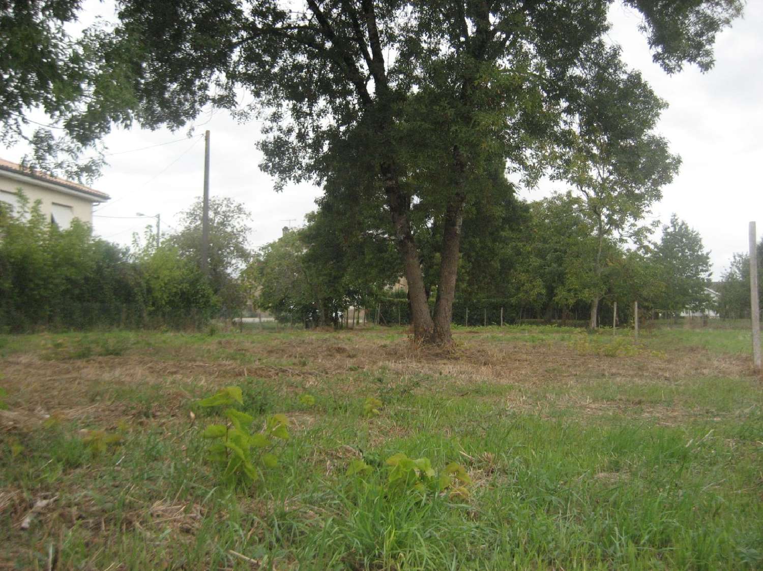  for sale terrain Béguey Gironde 4