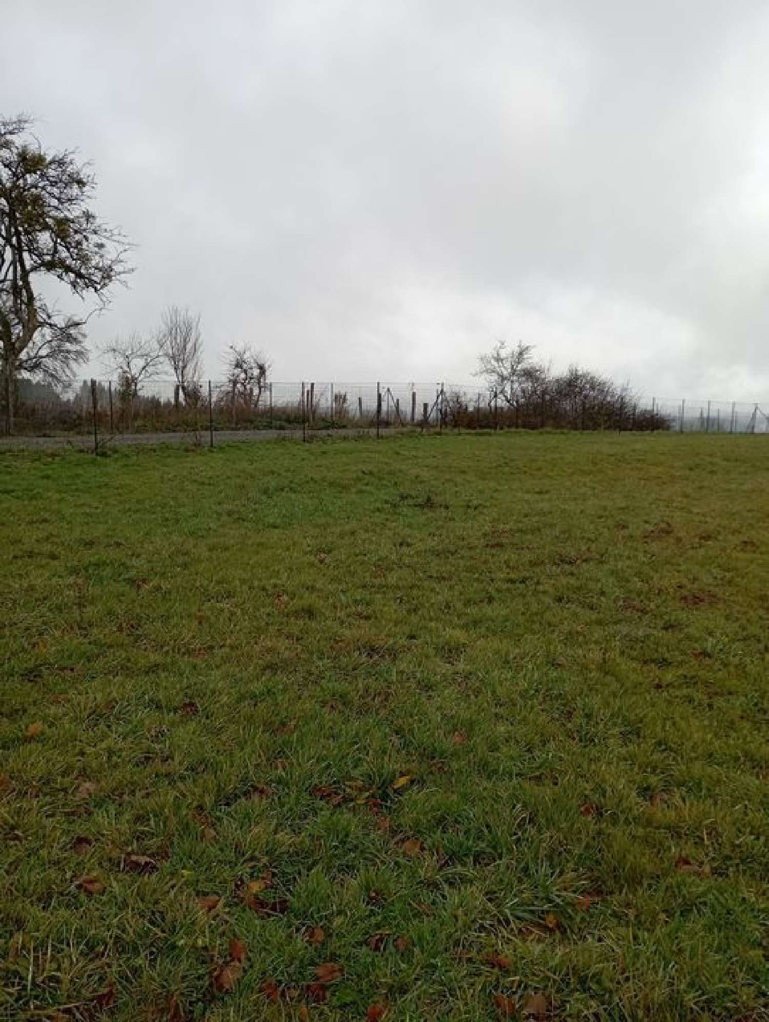  kaufen Grundstück Busset Allier 1