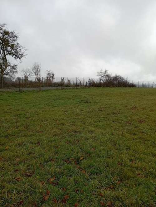 Busset Allier Grundstück Bild 7318444