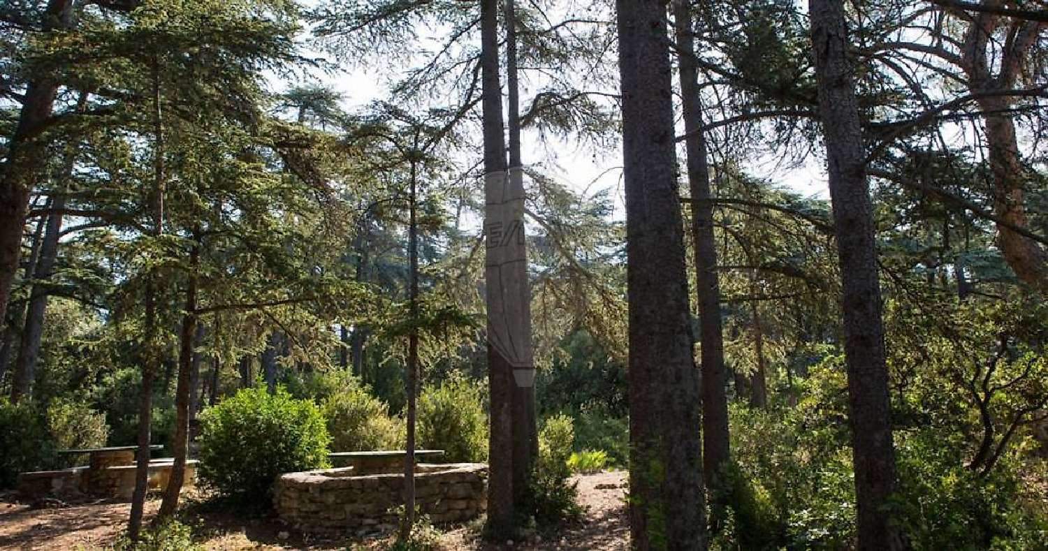  kaufen Grundstück Cabrières-d'Avignon Vaucluse 2