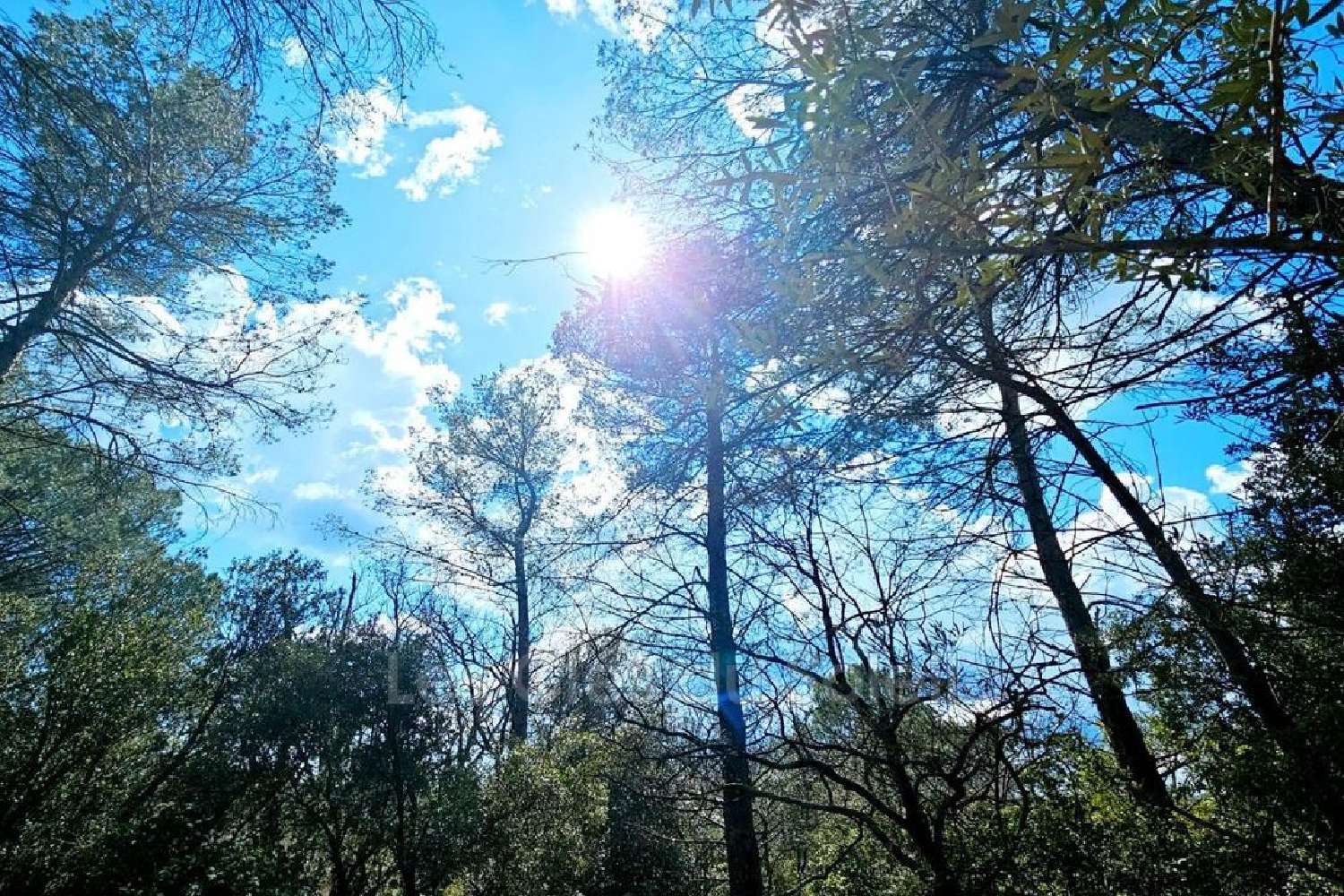  te koop terrein Camps-la-Source Var 1