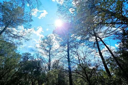 Camps-la-Source Var terrein foto 7301226