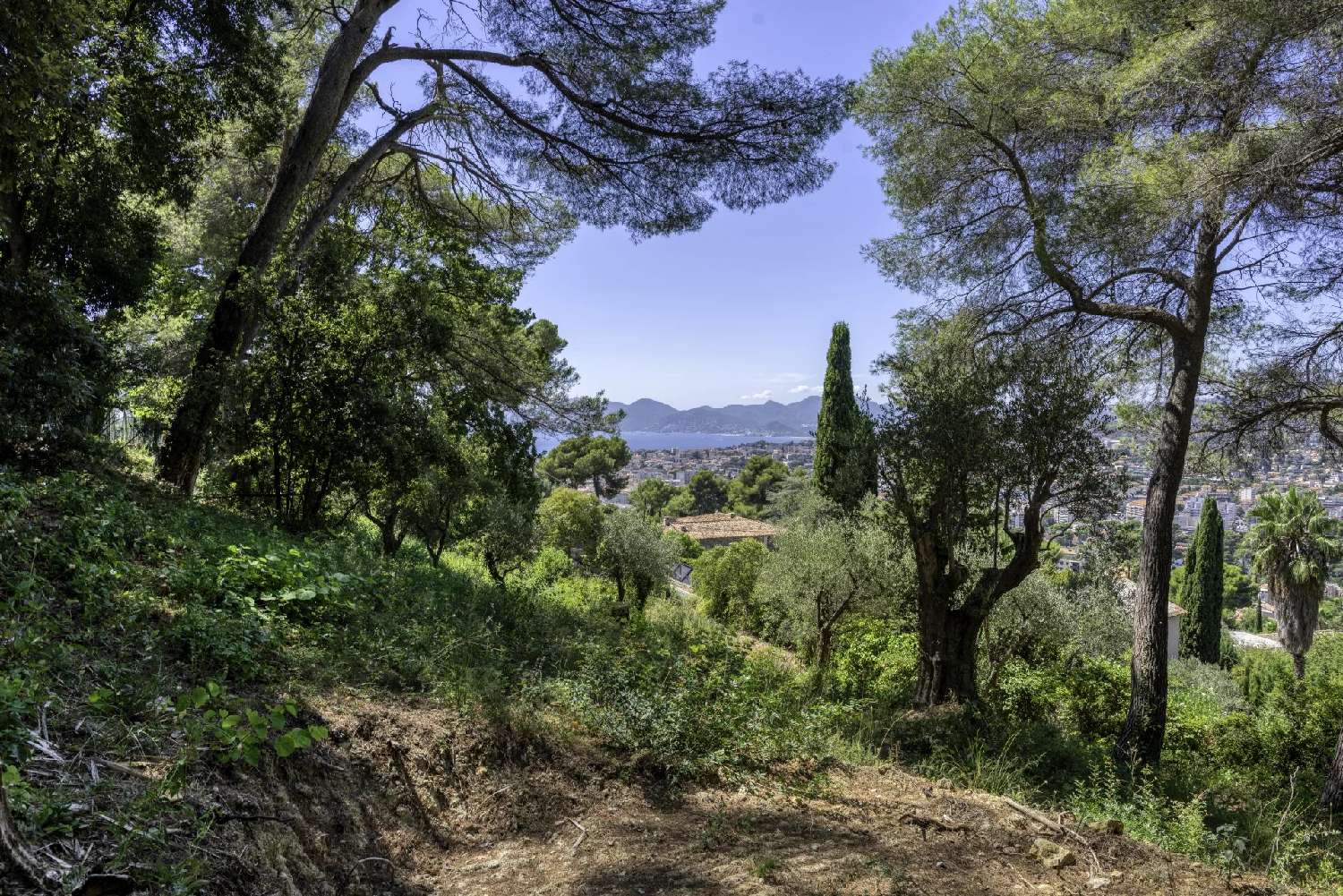kaufen Grundstück Cannes Alpes-Maritimes 5