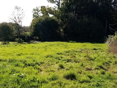 Cany-Barville Seine-Maritime terrein foto 7320124