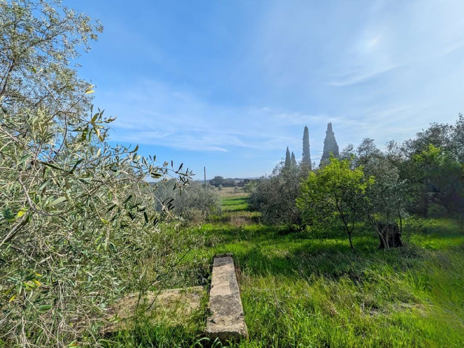  te koop terrein Cesseras Hérault 2