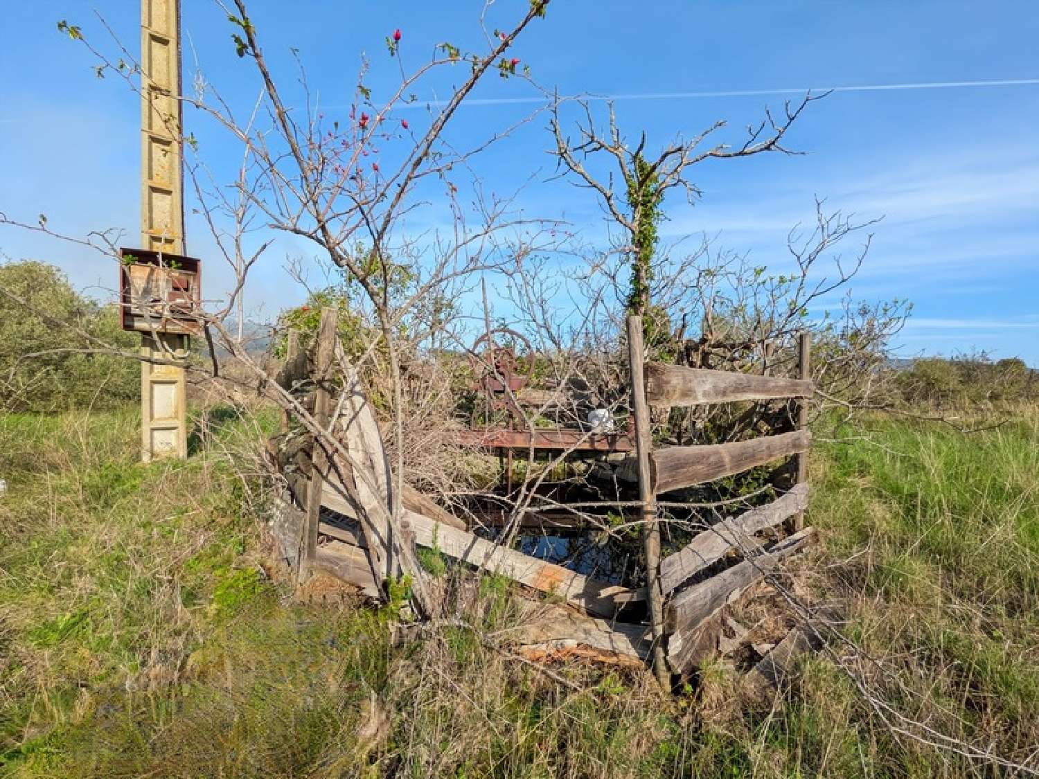  te koop terrein Cesseras Hérault 4
