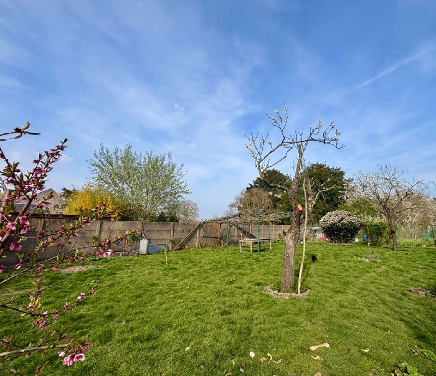  for sale terrain Chevilly Loiret 2