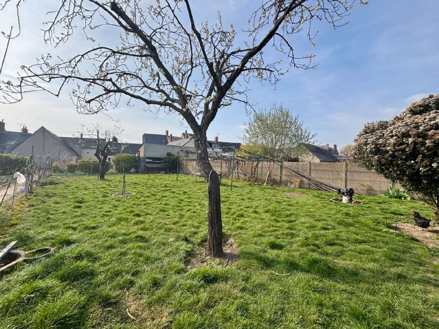  for sale terrain Chevilly Loiret 4