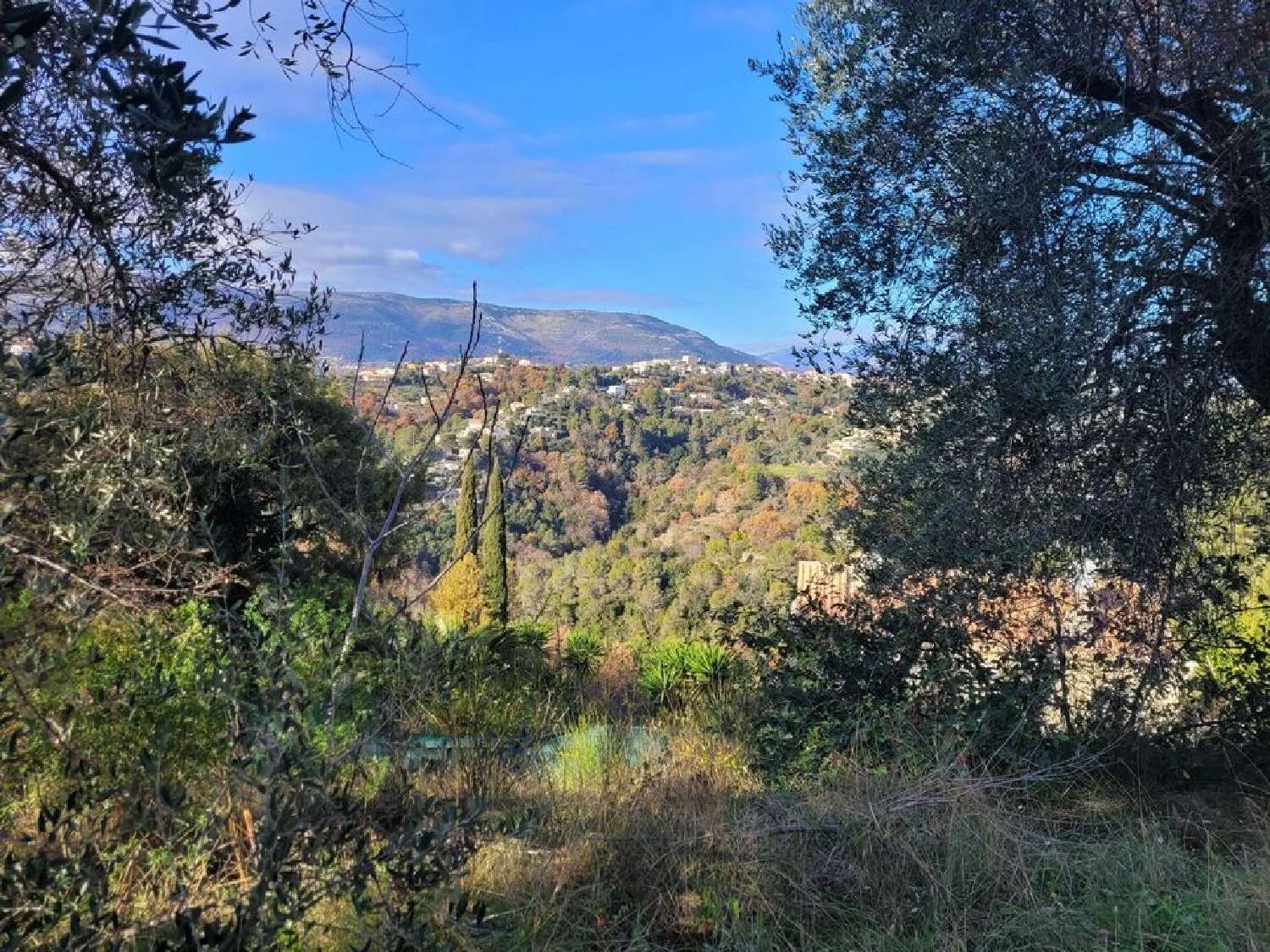  for sale terrain Colomars Alpes-Maritimes 1