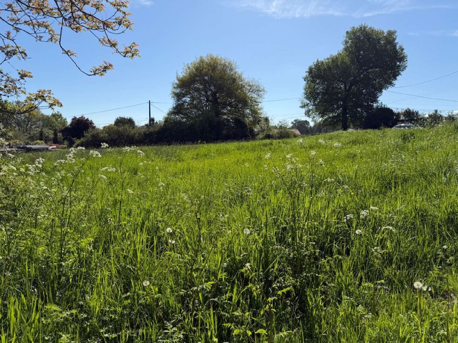  kaufen Grundstück Coulounieix-Chamiers Dordogne 3