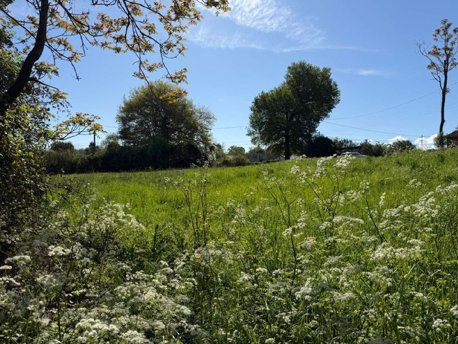  kaufen Grundstück Coulounieix-Chamiers Dordogne 4