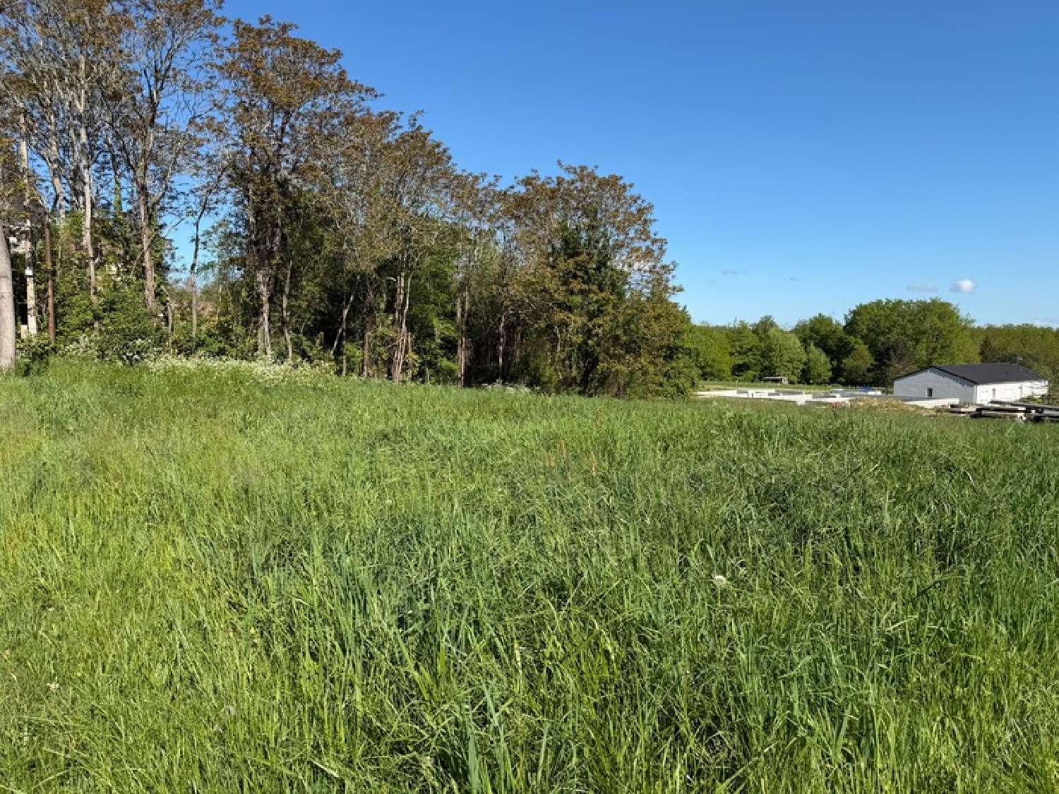  kaufen Grundstück Coulounieix-Chamiers Dordogne 6