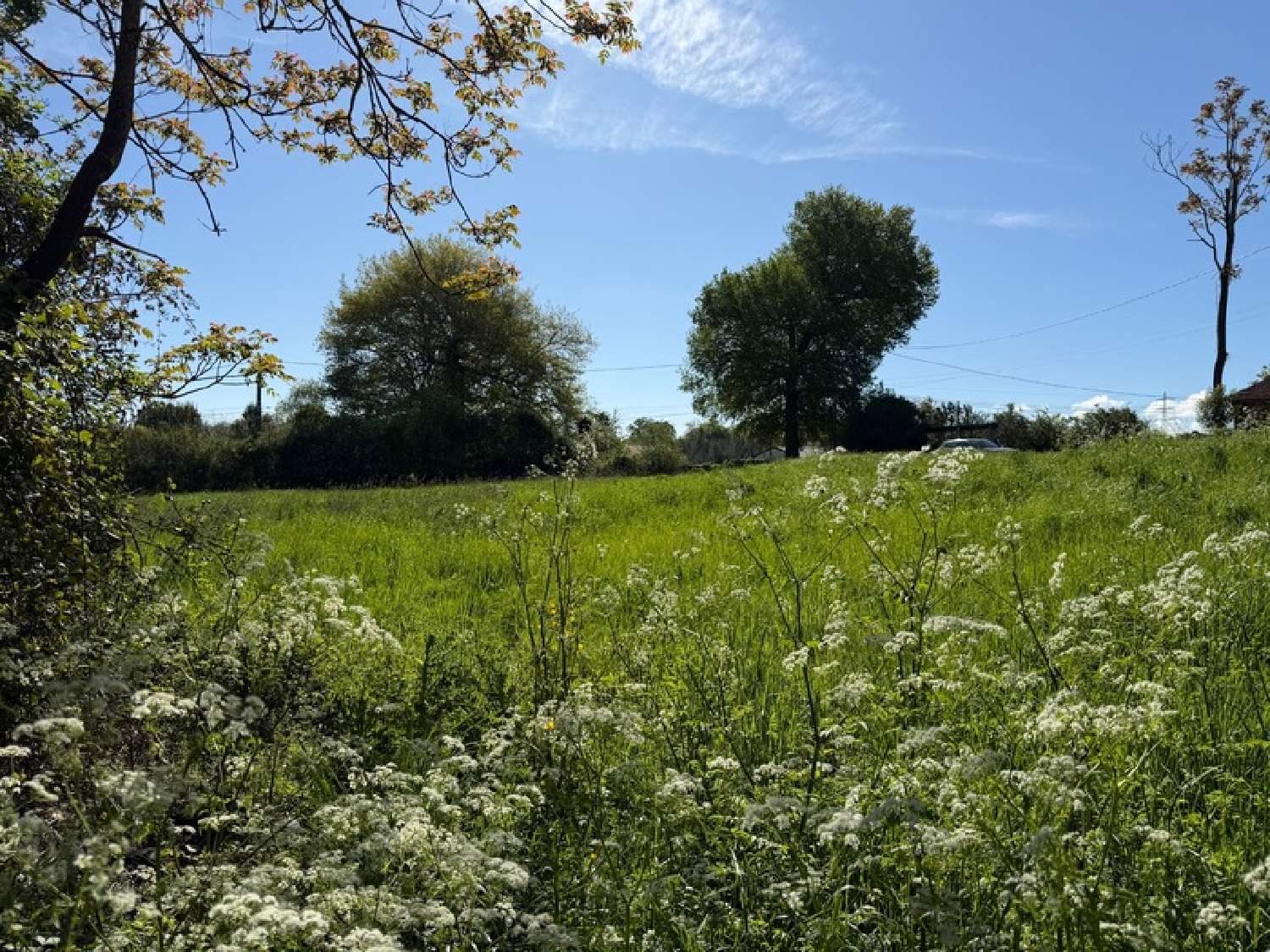  kaufen Grundstück Coulounieix-Chamiers Dordogne 7