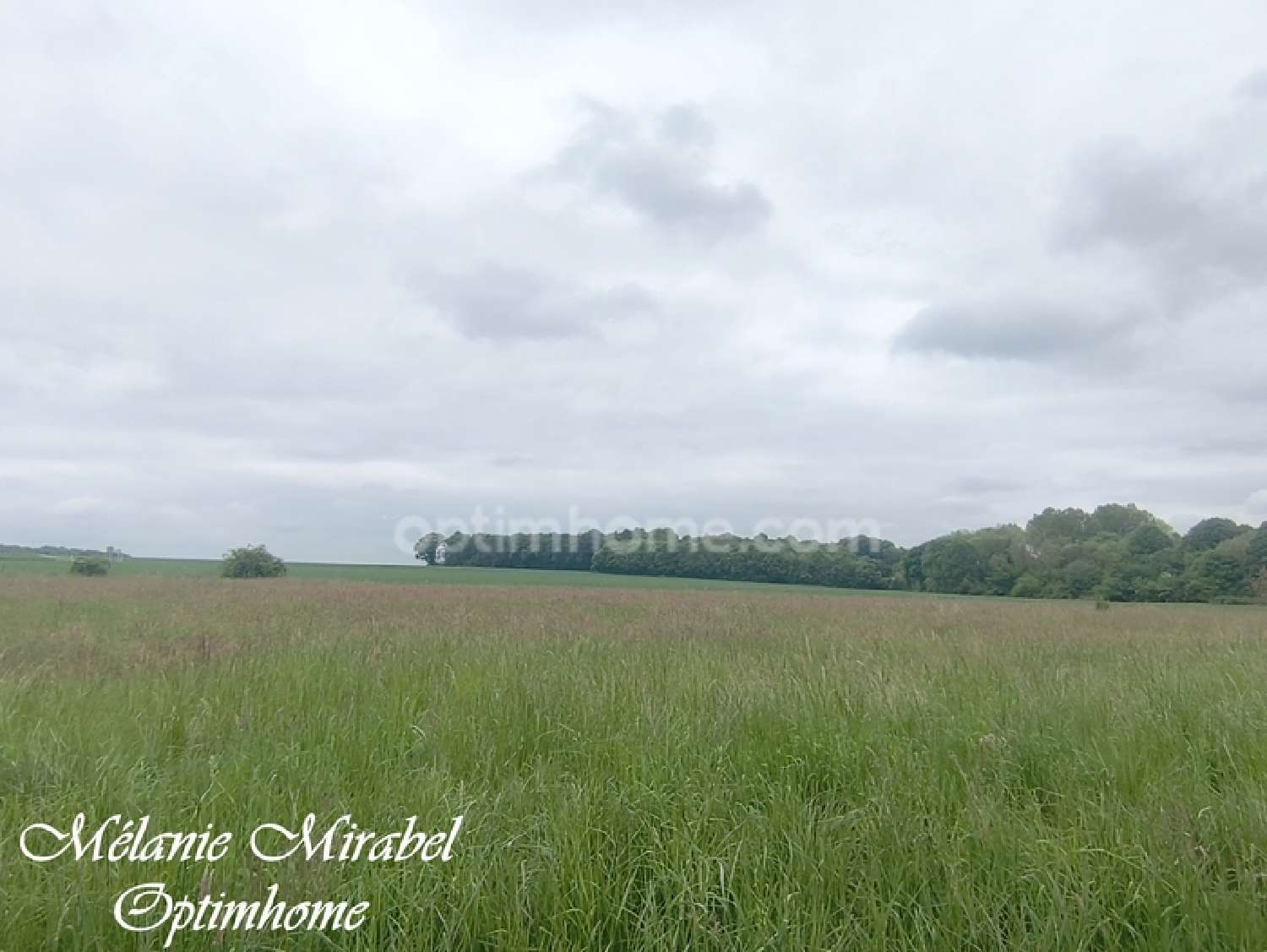  for sale terrain Courdemanche Eure 2