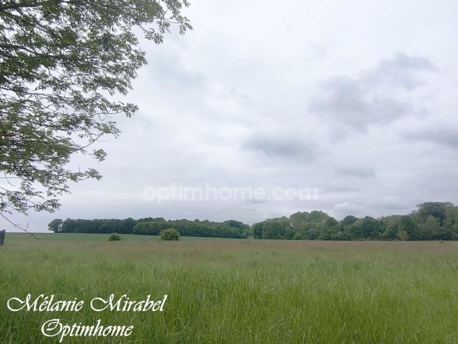  for sale terrain Courdemanche Eure 3
